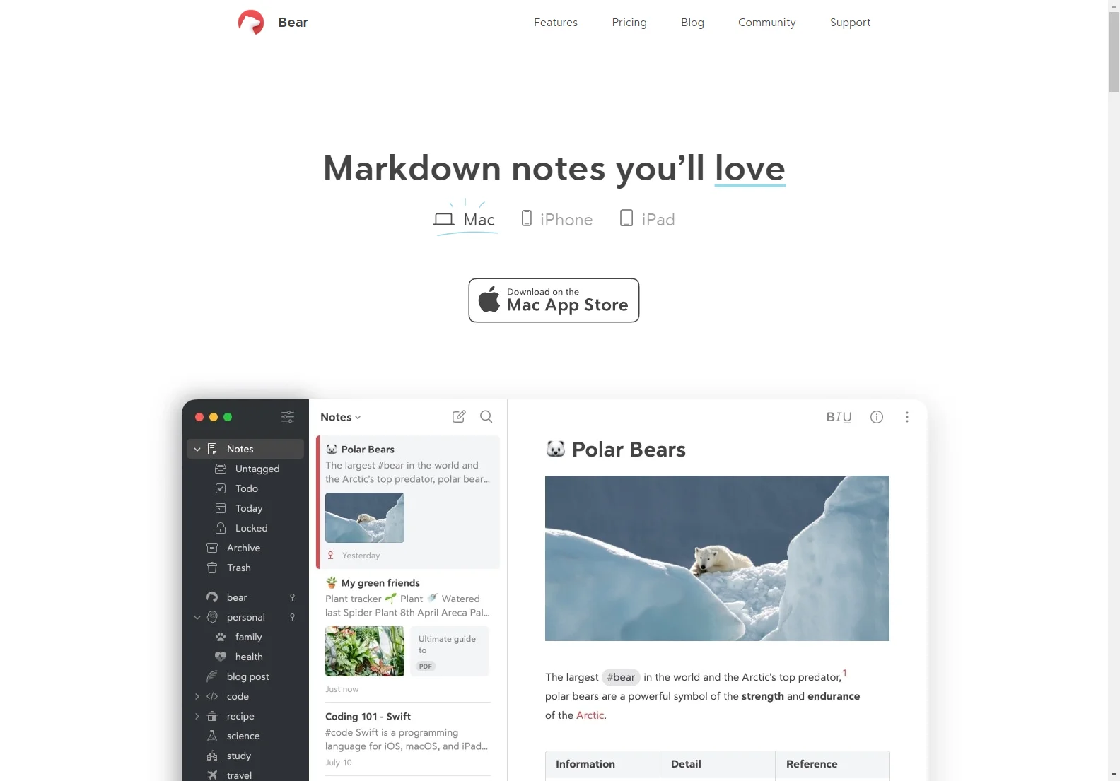 Bear: Your All-in-One Markdown Note-Taking Companion