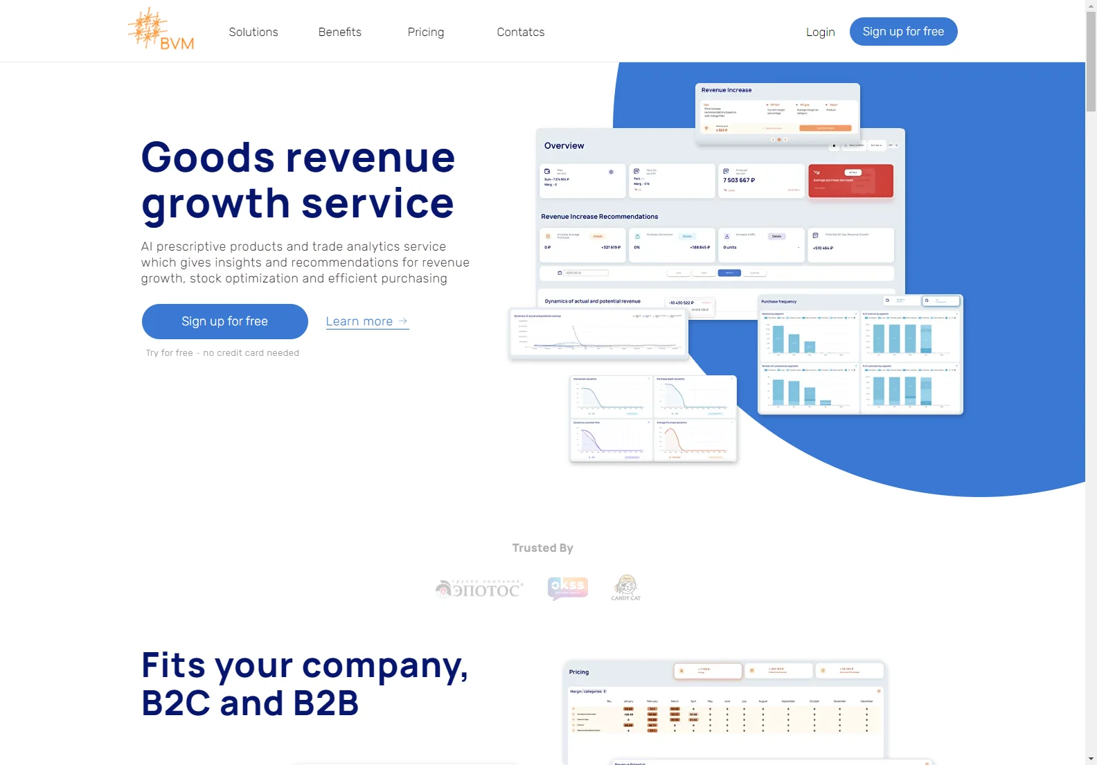 BVM: AI-Powered Prescriptive Analytics for Revenue Growth