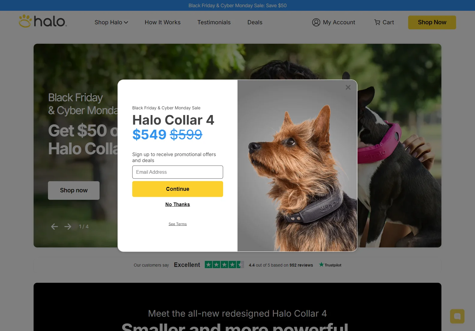 Halo Collar 4: Wireless GPS Dog Fence for Unmatched Pet Safety