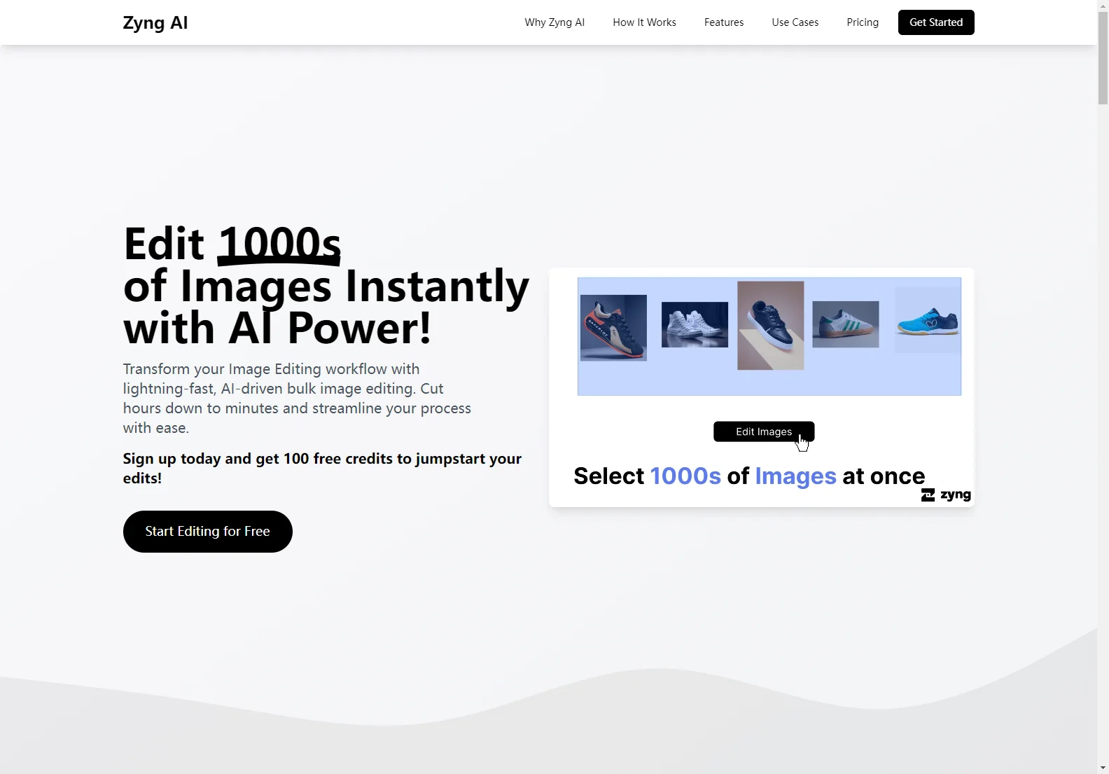 Zyng AI: Bulk AI Image Editing for E-commerce & Photographers