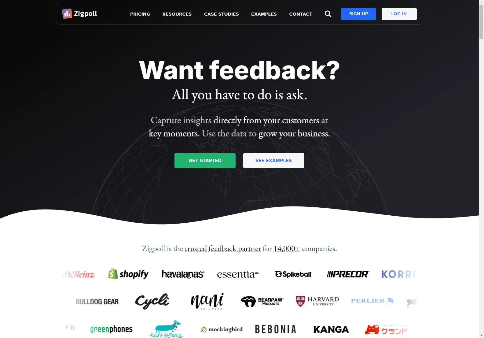 Zigpoll: AI-Powered Customer Feedback Platform for Data-Driven Decisions