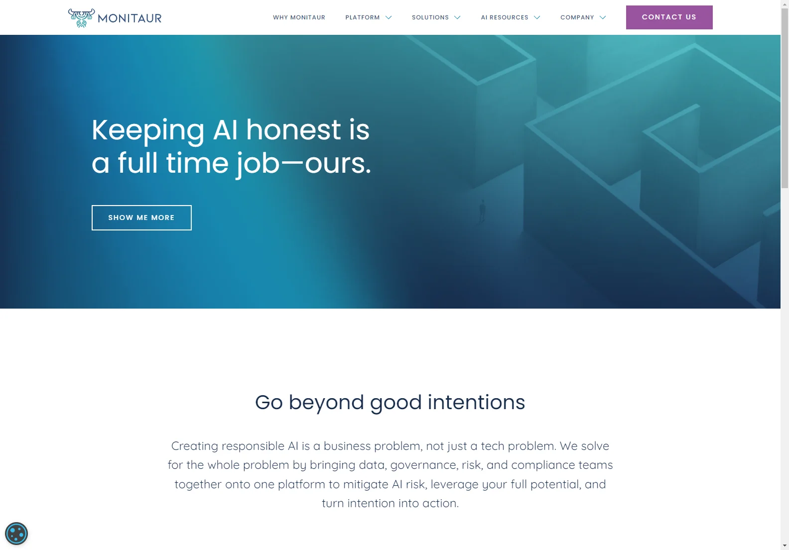 Monitaur: AI Governance Software for Responsible AI Development