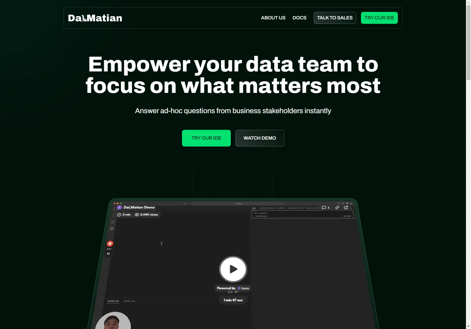 DaLMatian: Empower Your Data Team with Instant Insights