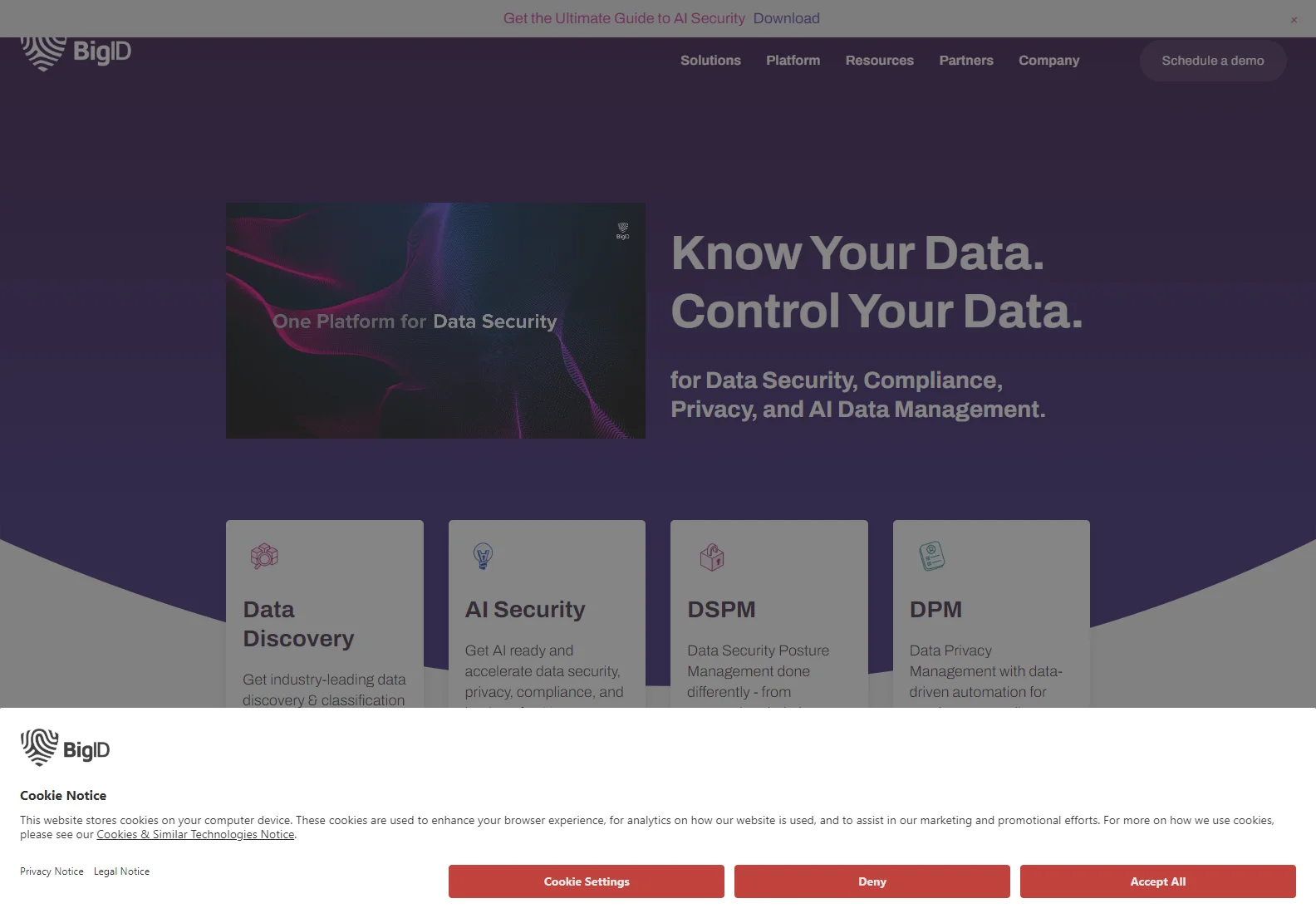 BigID: AI-Powered Data Security, Privacy, and Compliance