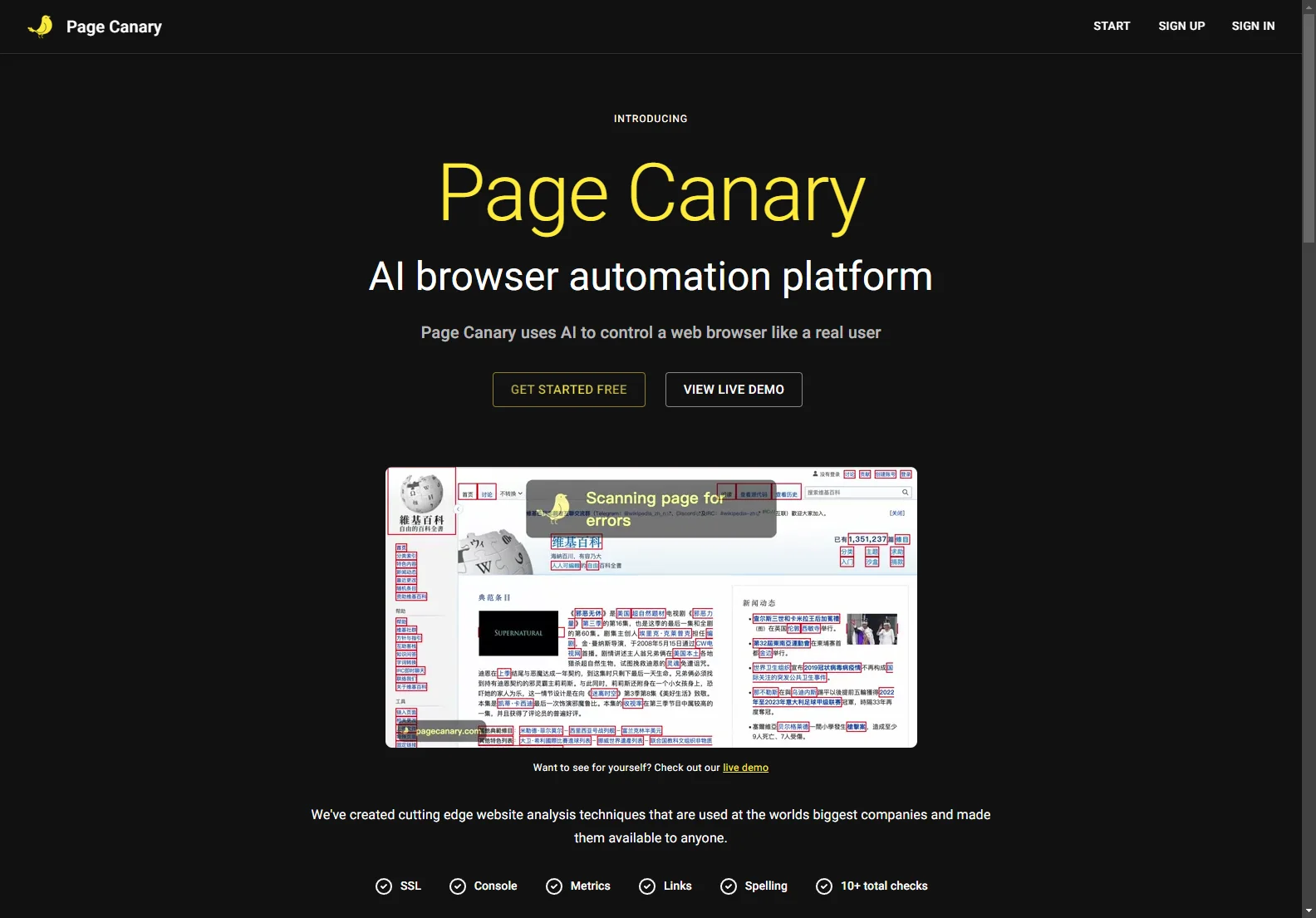 Page Canary: AI-Powered Website Quality Assurance