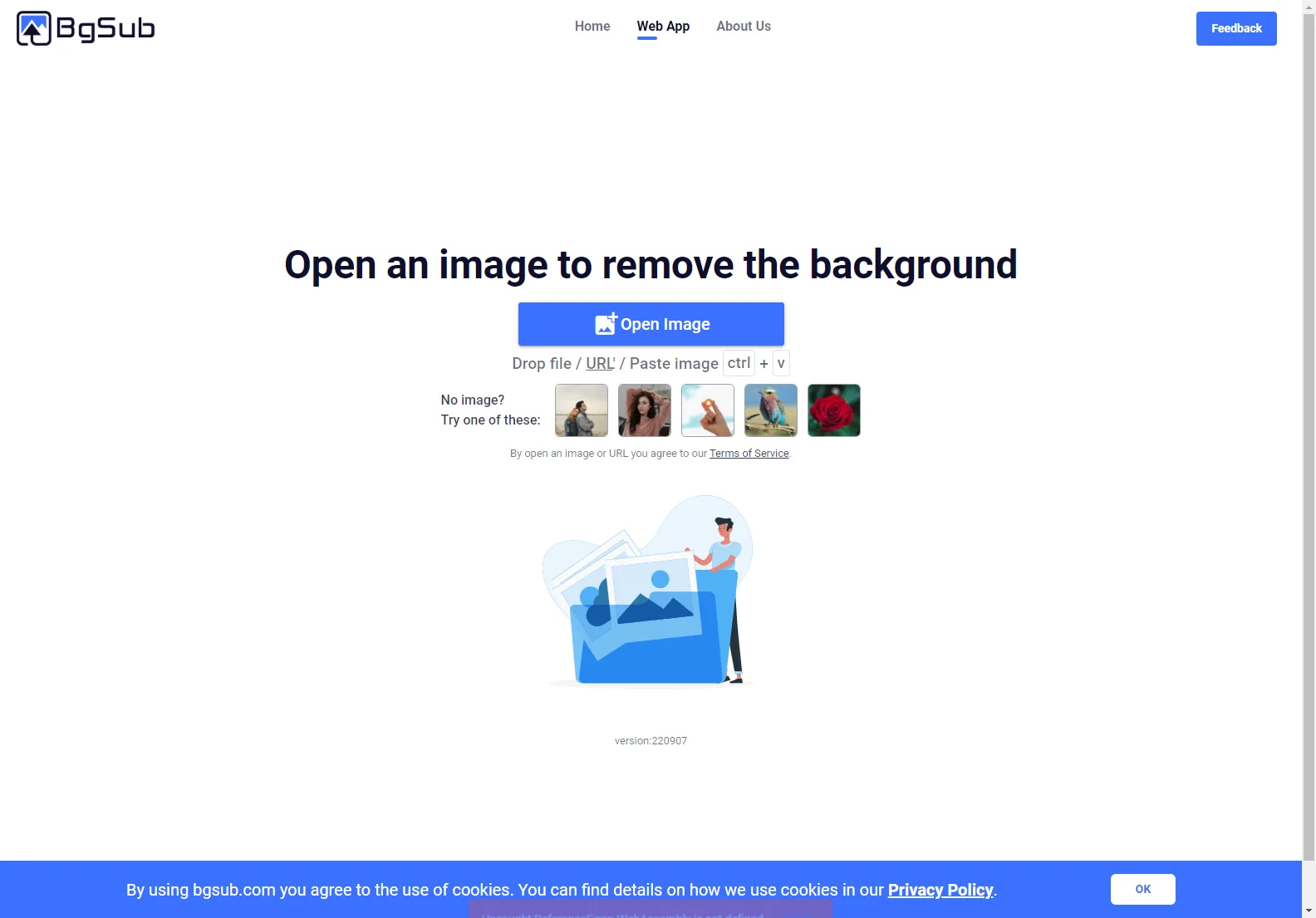 BgSub: Instant AI-Powered Background Removal for Images