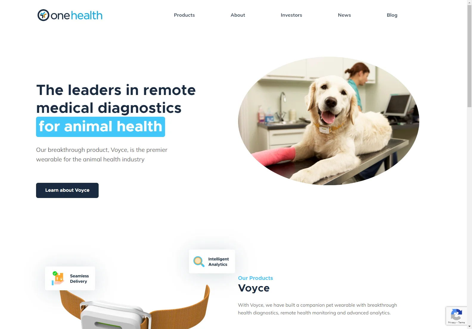 Voyce: Revolutionizing Remote Pet Healthcare with Advanced Diagnostics