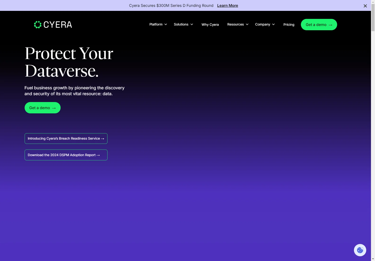 Cyera: AI-Powered Data Security Platform for Enhanced Data Protection