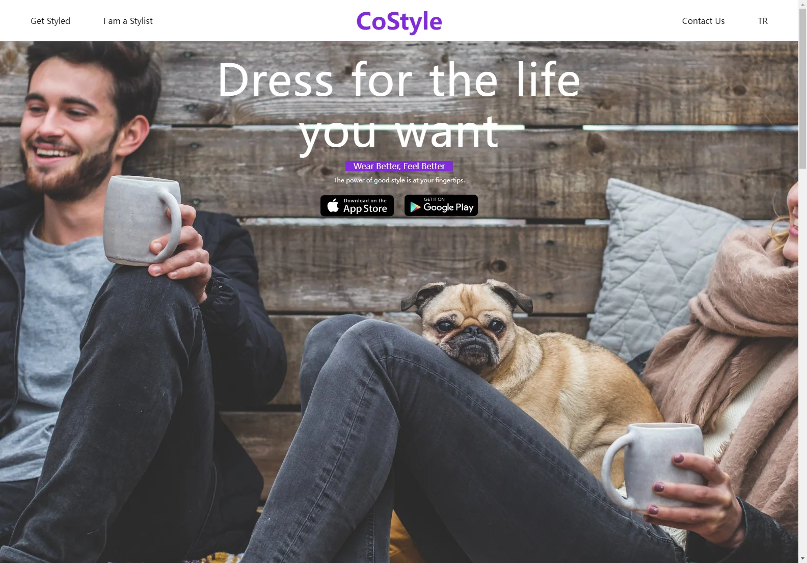 CoStyle: AI-Powered Personal Styling for a Better You