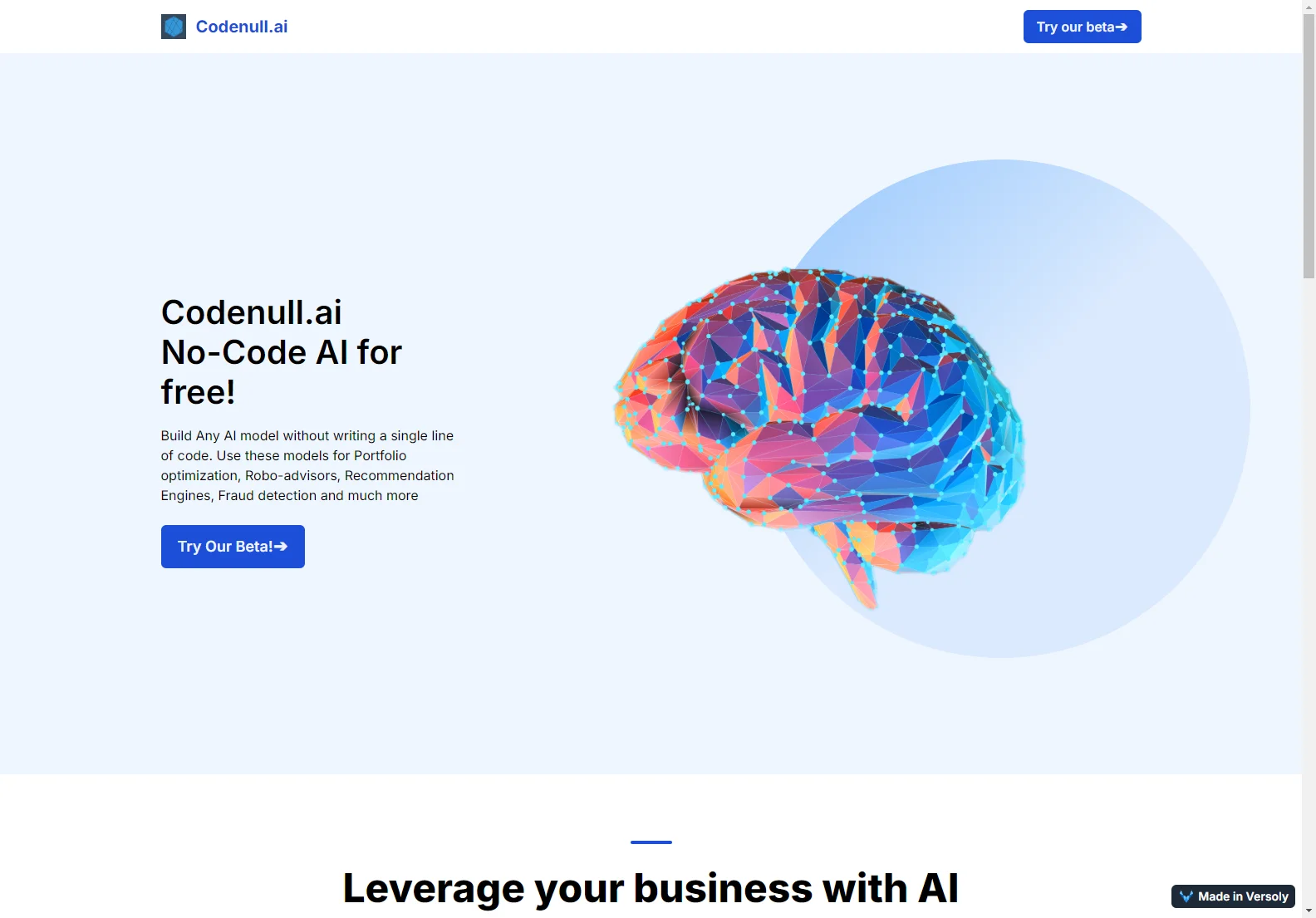 Codenull.ai: No-Code AI Platform for Portfolio Optimization & More