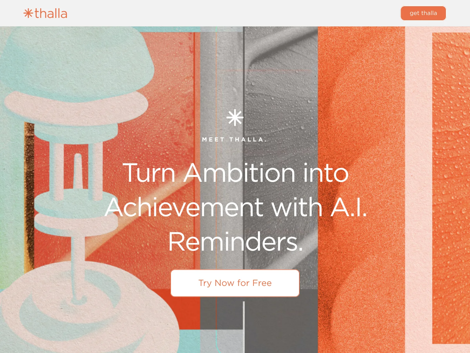 Thalla: AI-Powered Reminders to Turn Ambition into Achievement